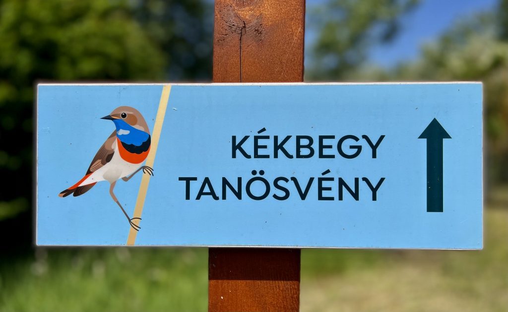 kekbegy tanosveny 2