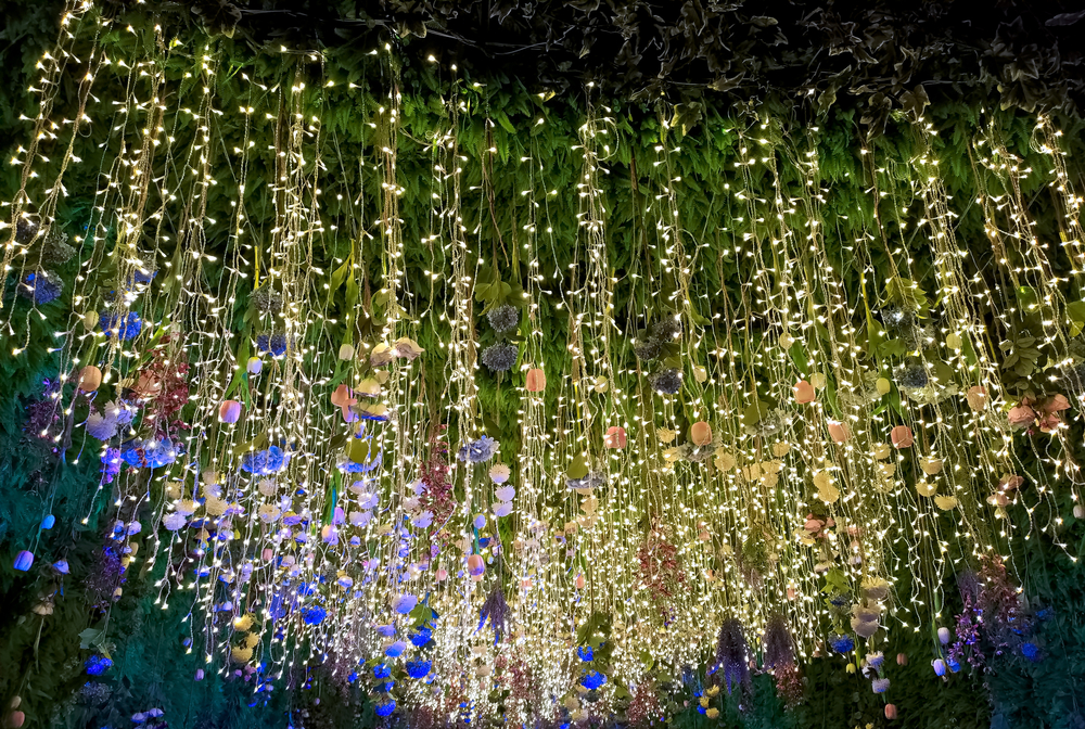 Garden of Lights a Füvészkertben Budapesten 2023-2024