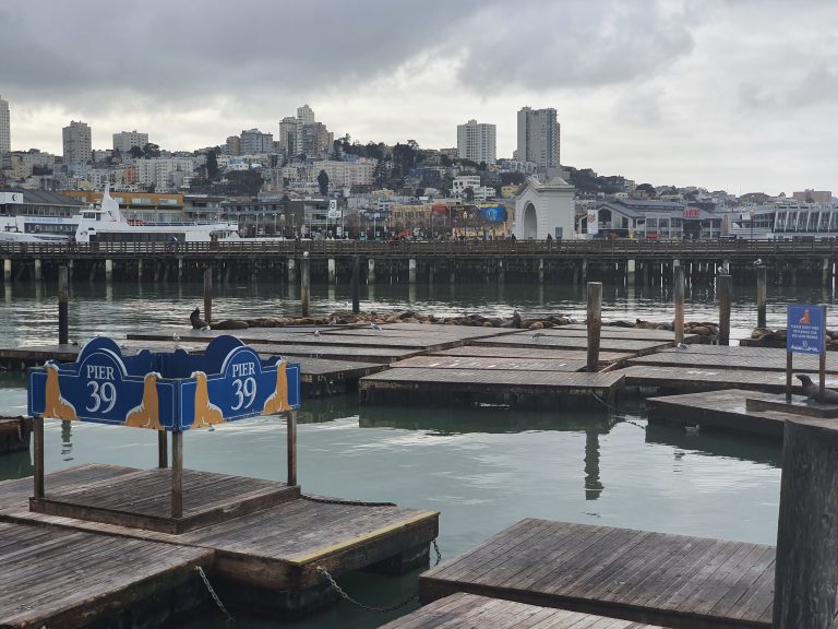 Szenzációs Pier 39 oroszlánfókák