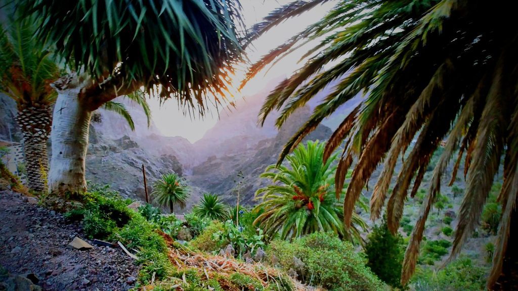 A Masca völgy Tenerifén