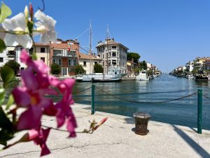 Grado