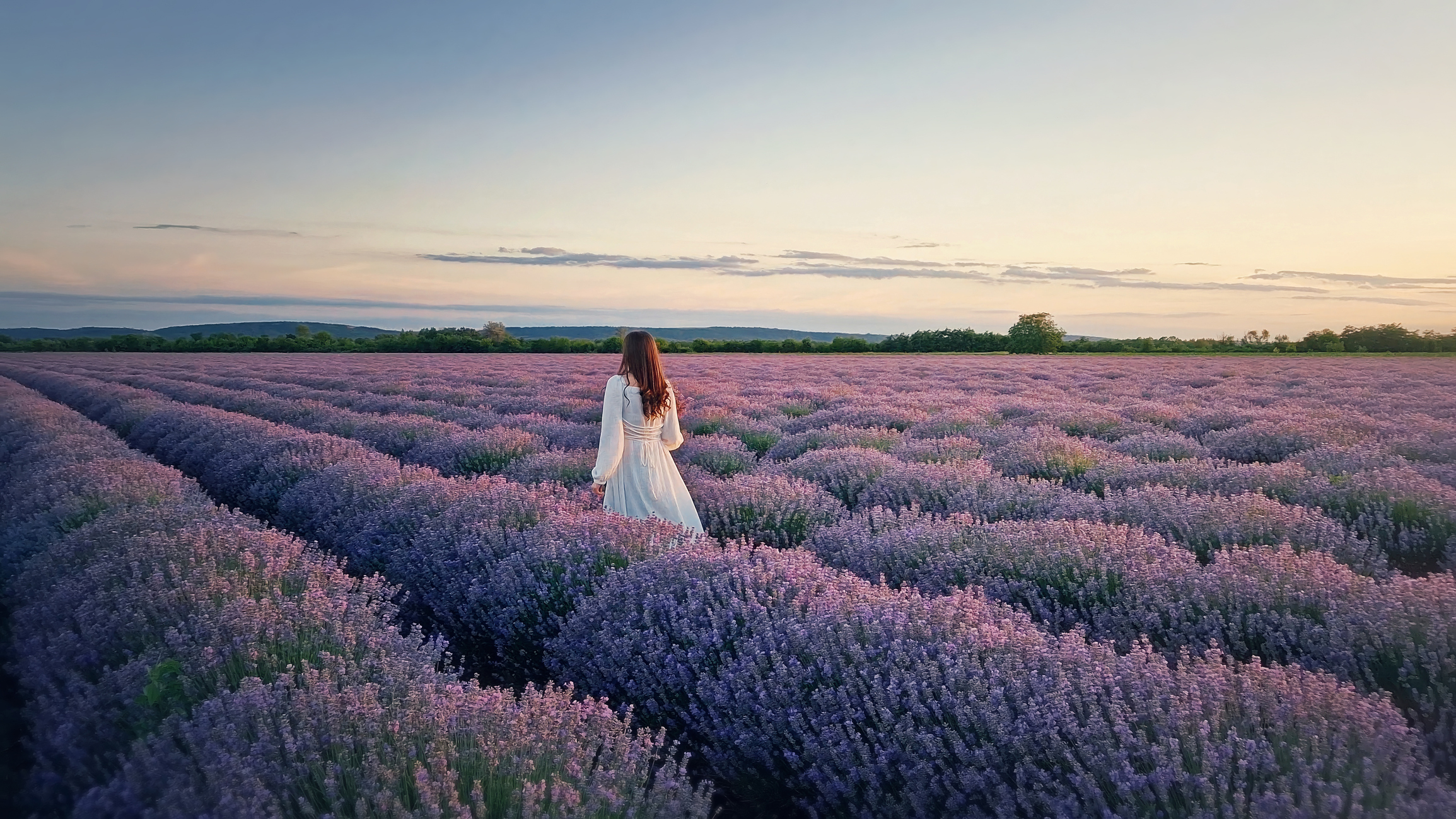 Levendula Ünnep Kőröshegyen 2025