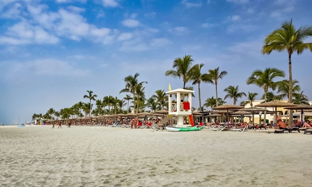 photo 2026 02 10 11 31 39 3